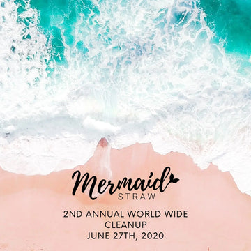2nd Annual Mermaid Straw World Wide Cleanup Mermaid Straw
