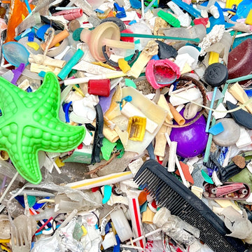 Making Waves: How Mermaid Straw is Keeping Beaches Beautiful Mermaid Straw